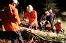2011 09 19 - Übung FF Ahl TH im Wald