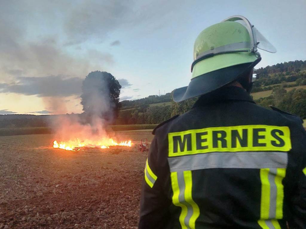 2025 09 03 FF Mernes Flaechenbrand Uebung 2025 0005