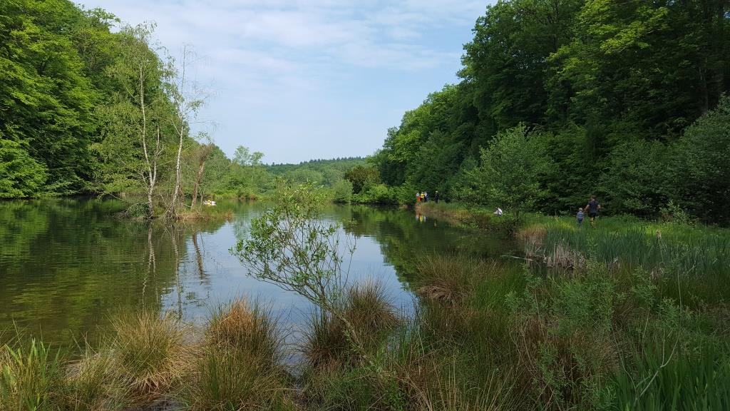 FF Ahl 24h Wasserrettung 2018 059
