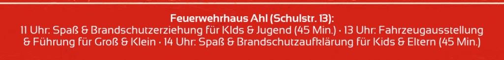FF Ahl Dorf und Hof Flohmarkt 2019 003