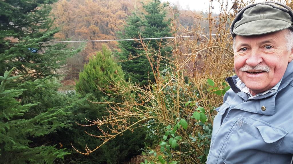 FF Ahl Weihnachtsbaum Aufstellen 2018 004