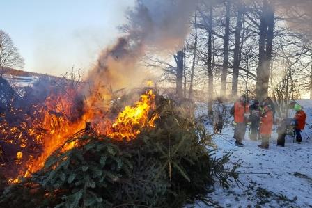 FF Alsberg Weihnachtsbaum Einsammeln 2017 017