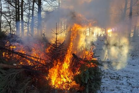FF Alsberg Weihnachtsbaum Einsammeln 2017 018