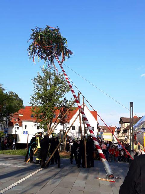 FF Bad Soden Aufstellen Maibaum 2019 009
