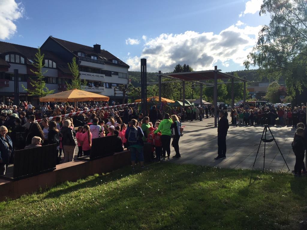 FF Bad Soden Maibaum 2018 005