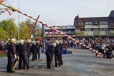 FF Bad Soden Maibaumaufstellen 2016 004