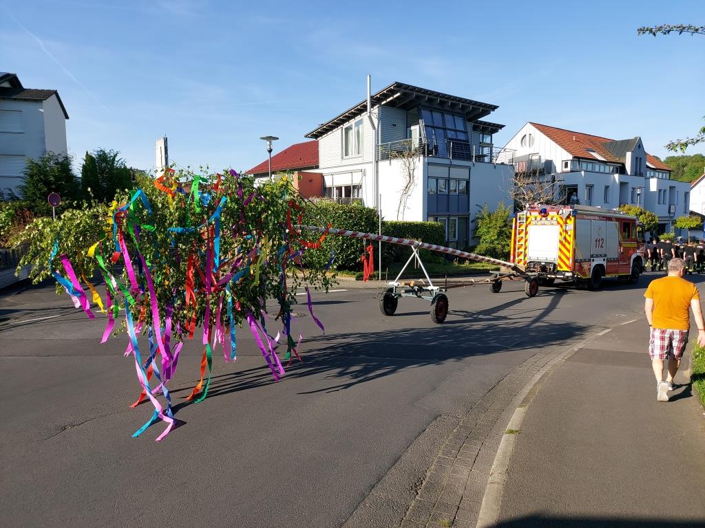FF Bad Soden Maibaum 2025 002