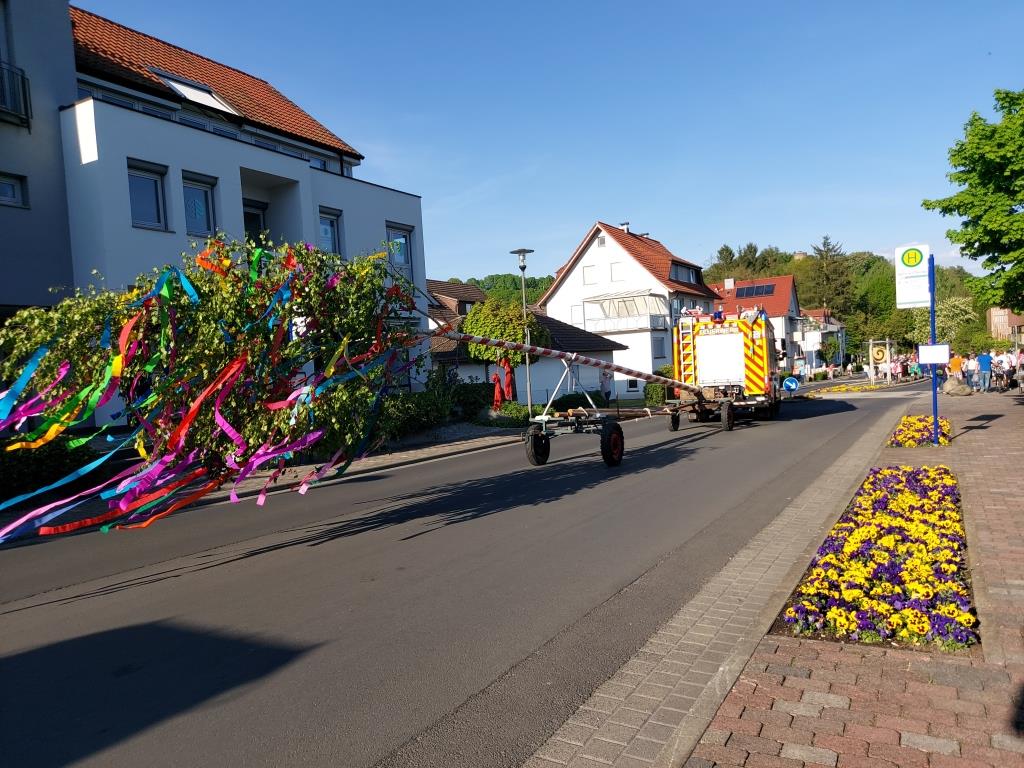 FF Bad Soden Maibaum 2025 004