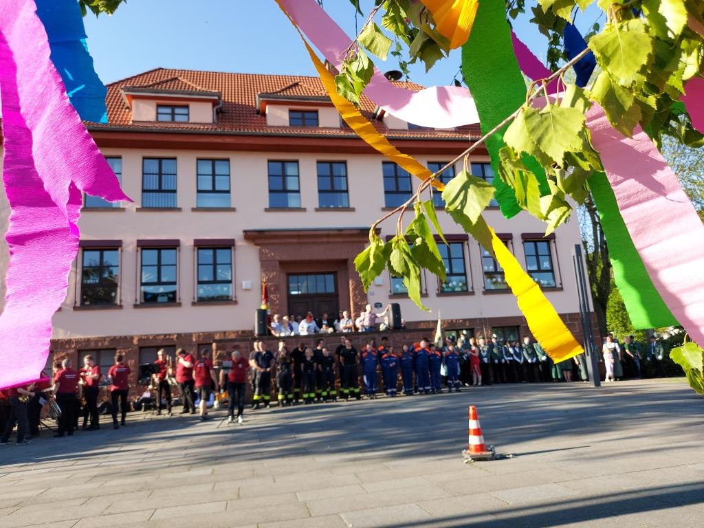 FF Bad Soden Maibaum 2025 012