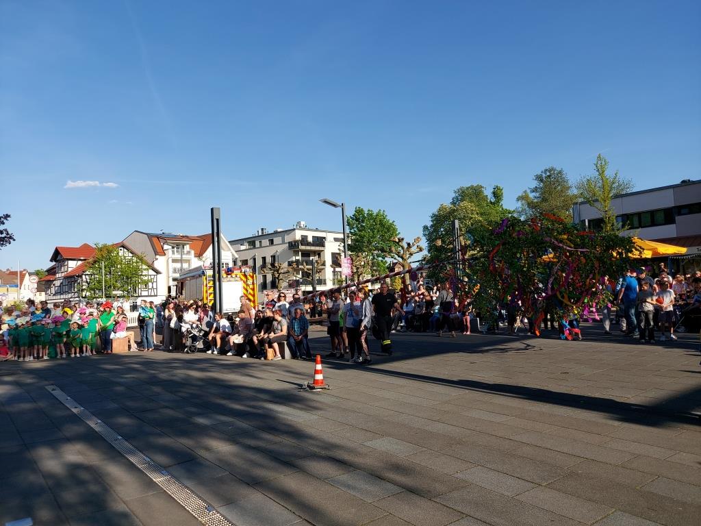 FF Bad Soden Maibaum 2025 014