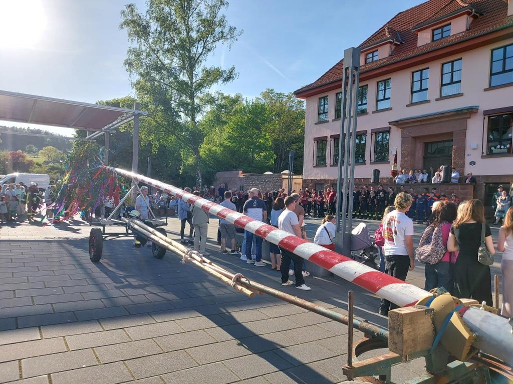 FF Bad Soden Maibaum 2025 016