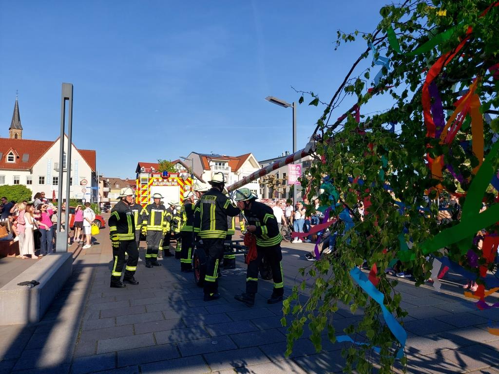 FF Bad Soden Maibaum 2025 020
