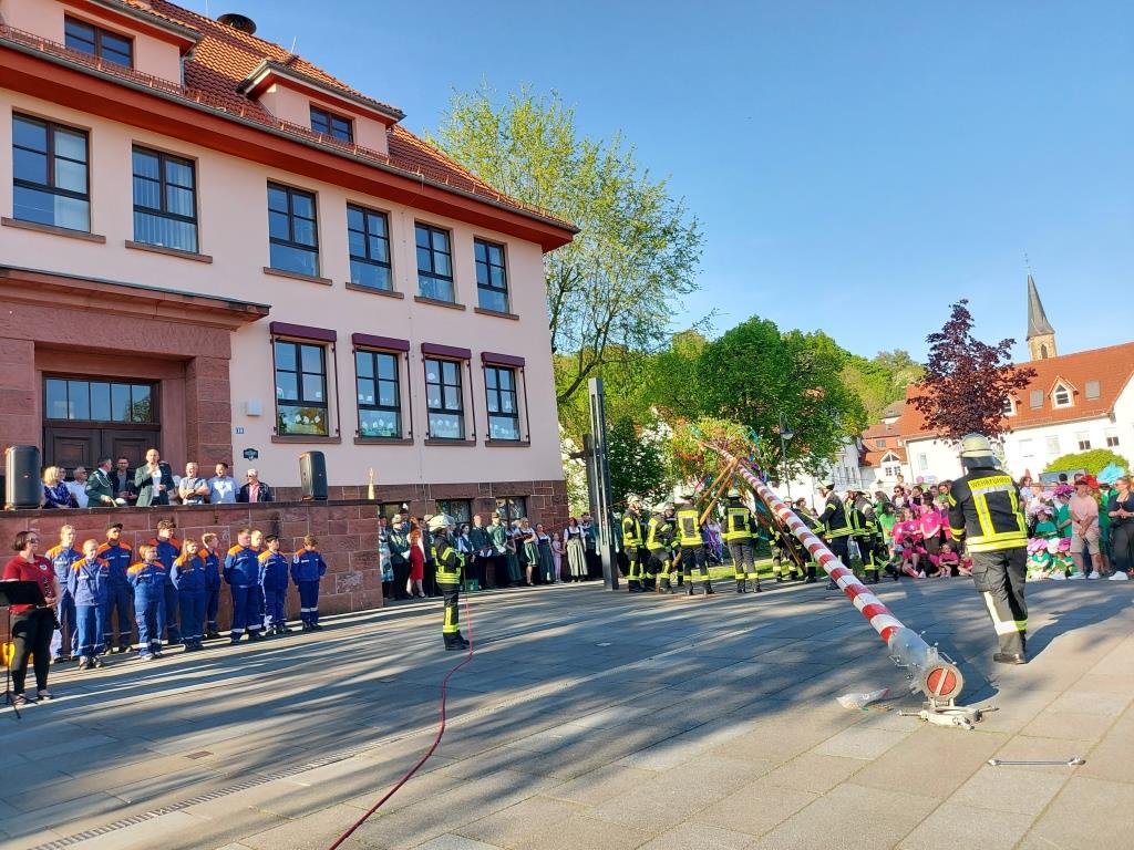 FF Bad Soden Maibaum 2025 026
