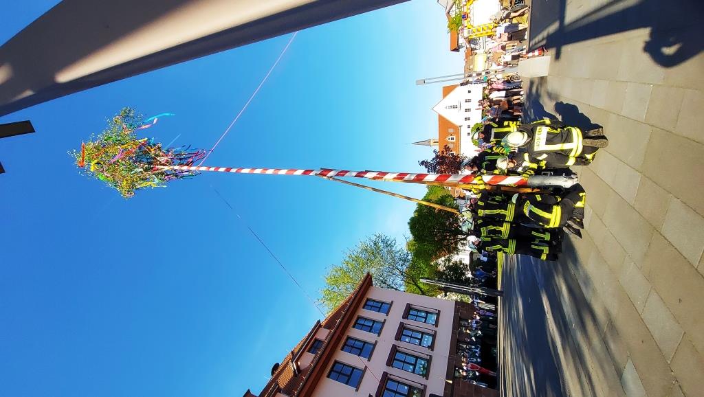 FF Bad Soden Maibaum 2025 032