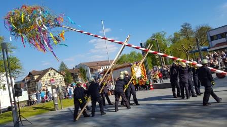 FF Bad Soden Maibaum 2017 008