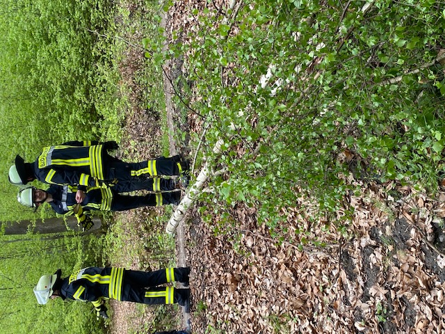 FF Bad Soden Maibaum Aufstellen 2022 002