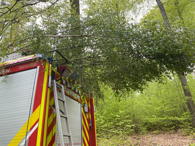 FF Bad Soden Maibaum Aufstellen 2022 003
