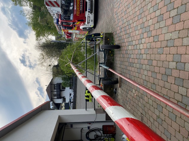 FF Bad Soden Maibaum Aufstellen 2022 004