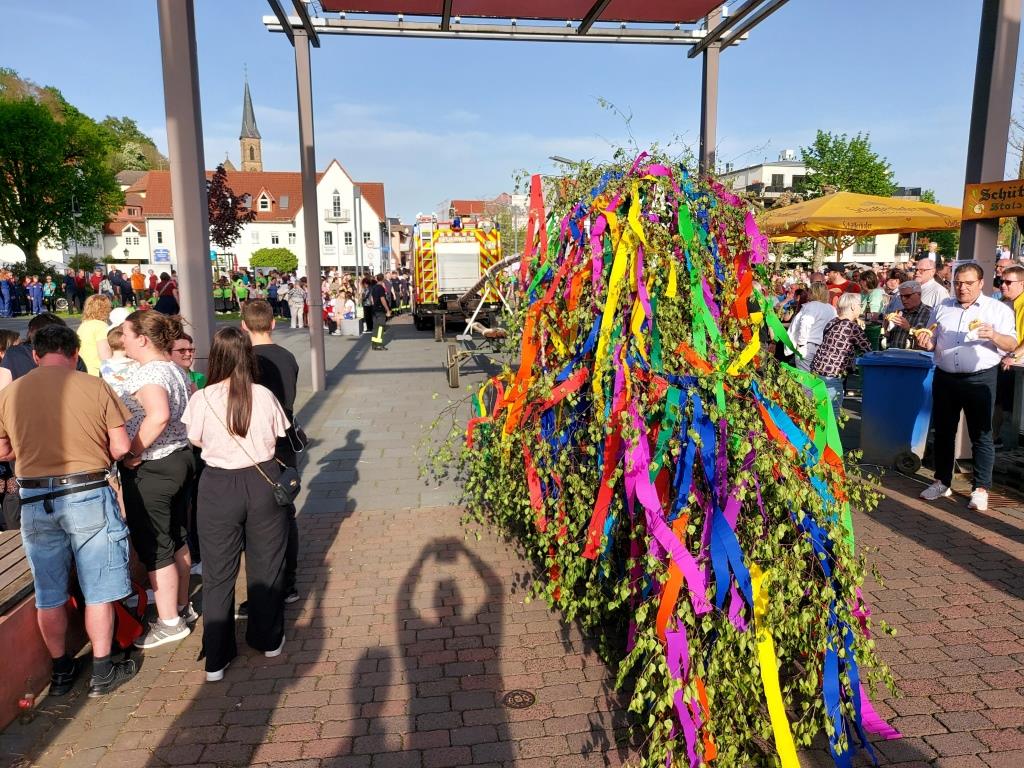 FF Bad Soden Maibaum Aufstellen 2024 011