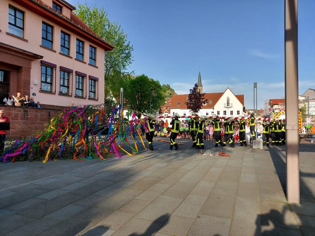 FF Bad Soden Maibaum Aufstellen 2024 014