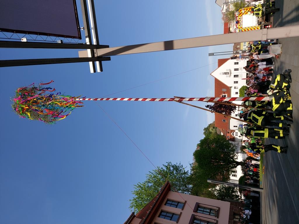 FF Bad Soden Maibaum Aufstellen 2024 024