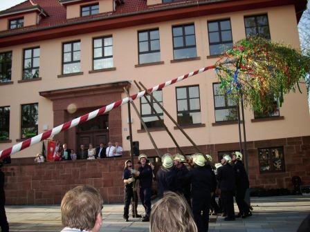 Maibaum_2012-001