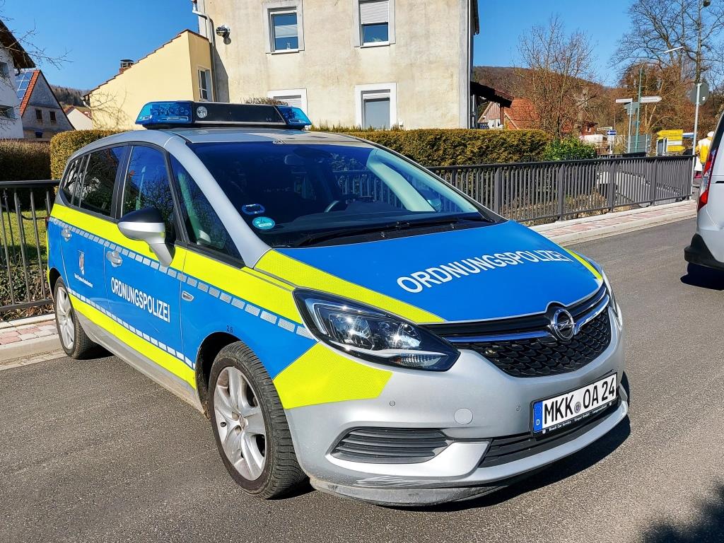 FF Huttengrund Faschingsumzug 2025 004