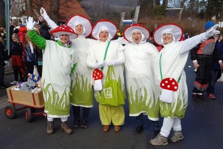FF Salmuenster Fasching 2017 007