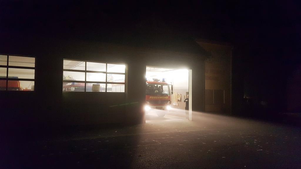 F 1 Ueberpruefung geloeschtes Feuer 2020 001