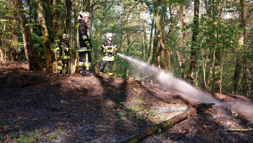 F 1 Waldbrand 2019 003