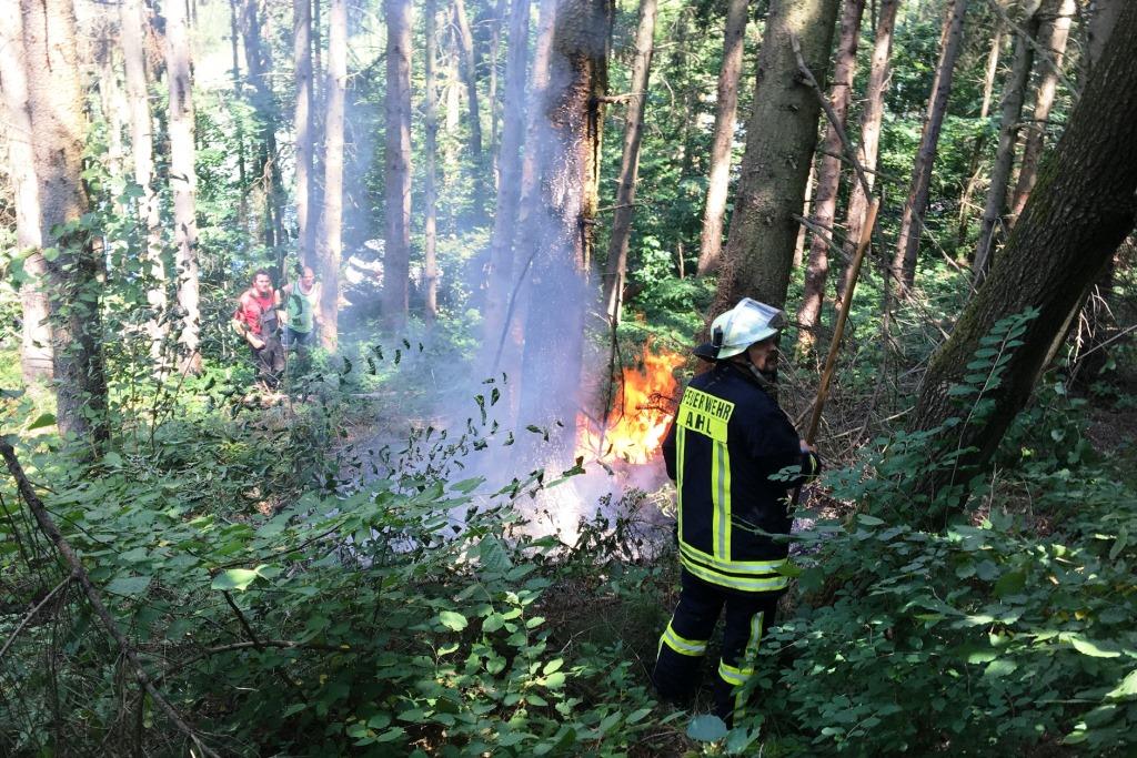 F 2 Waldbrand 2018 001