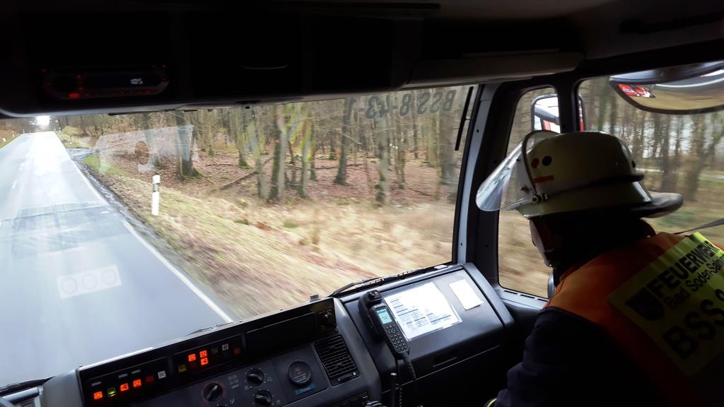 H 1 Baum auf Strasse 2018 012