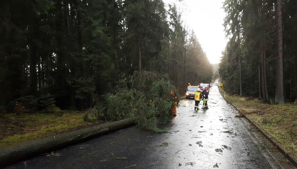 H 1 Baum auf Strasse 2018 013