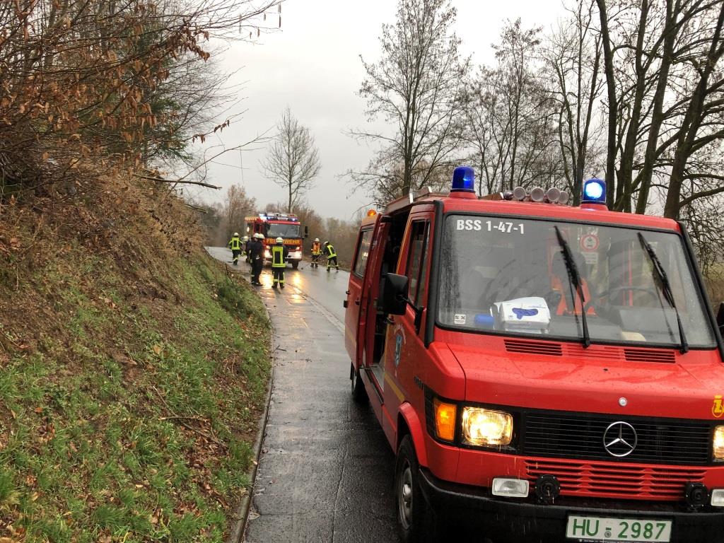 H 1 Baum auf Strasse 2019 002