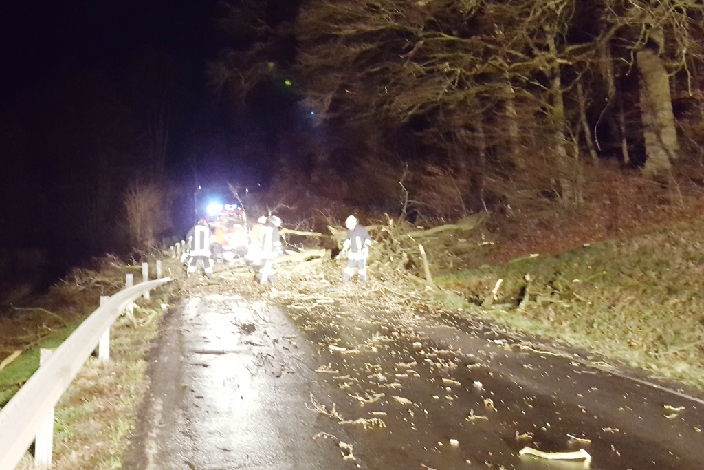 H 1 Baum auf Straße 2018 001