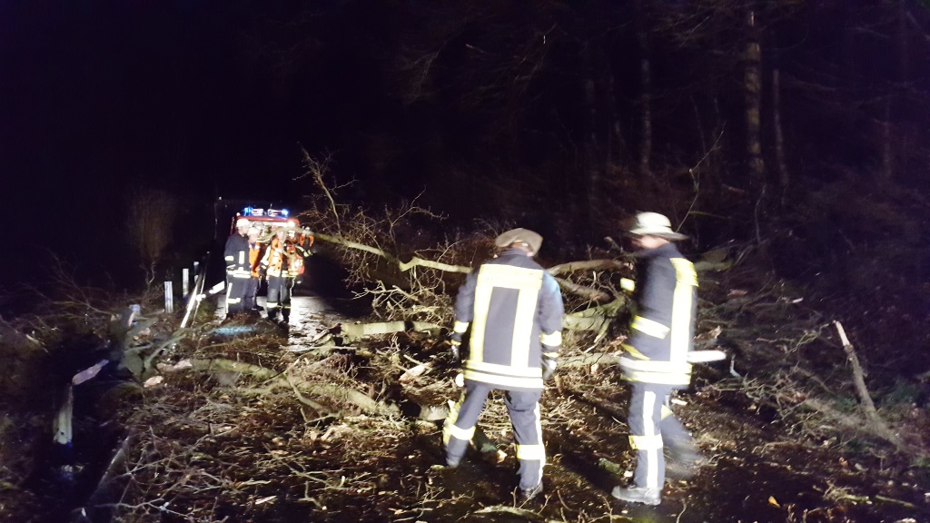 H 1 Baum auf Straße 2018 002