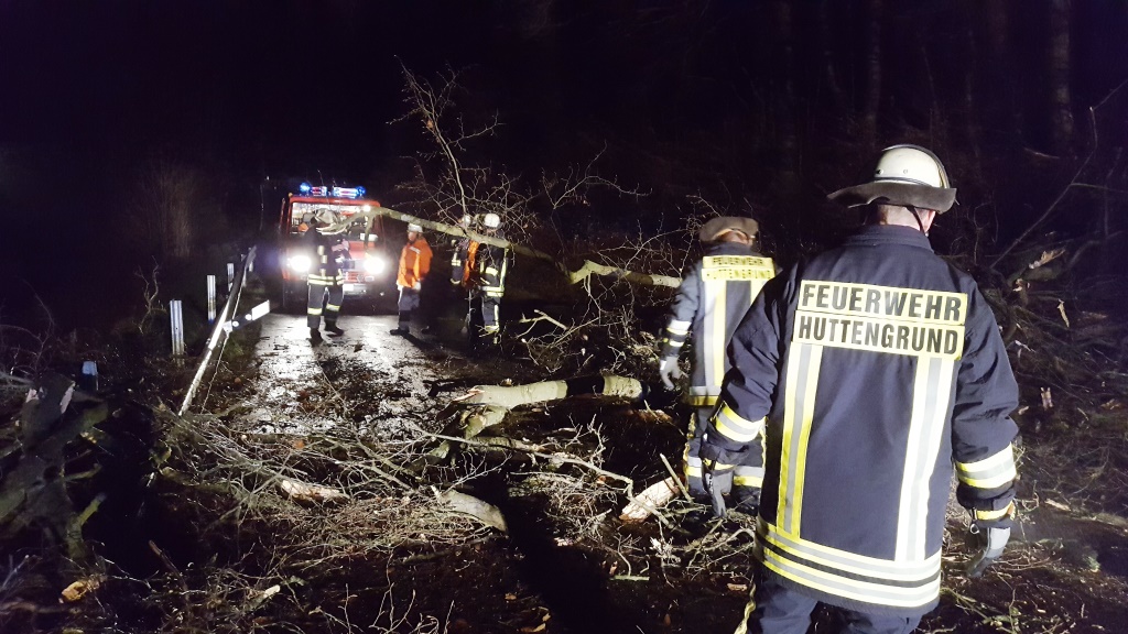 H 1 Baum auf Straße 2018 003