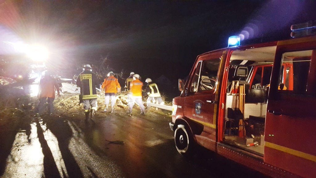 H 1 Baum auf Straße 2018 004