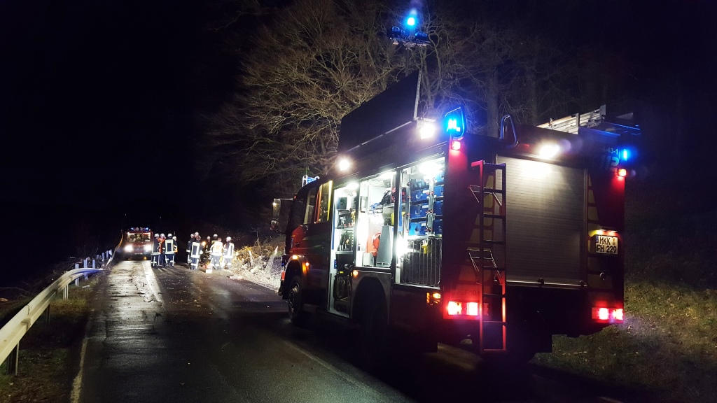 H 1 Baum auf Straße 2018 011