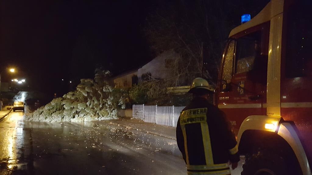 TH Unwetter Sturm 2020 004