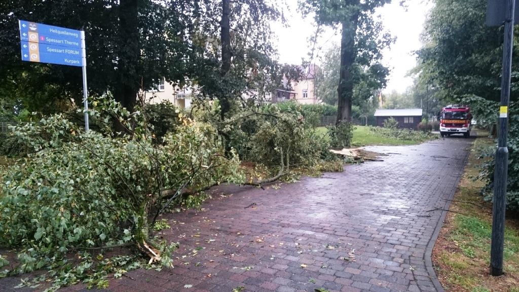 Unwettereinsatz 2018 009