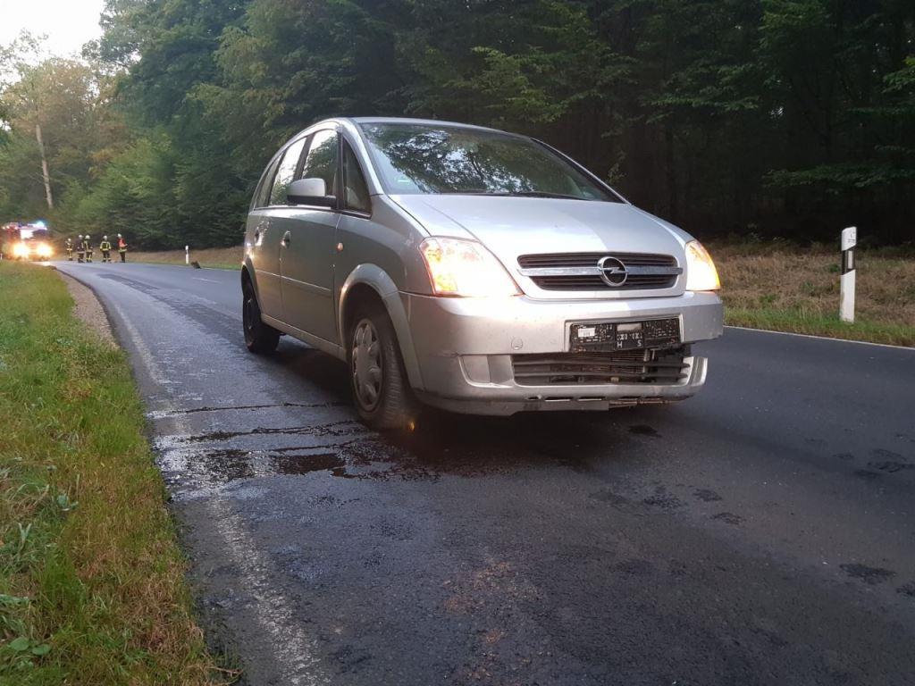 H 1 VU Betriebsmittel Wildunfall 2019 005