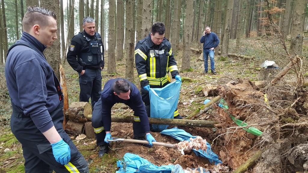 H 1 HL Knochenfund 2019 007