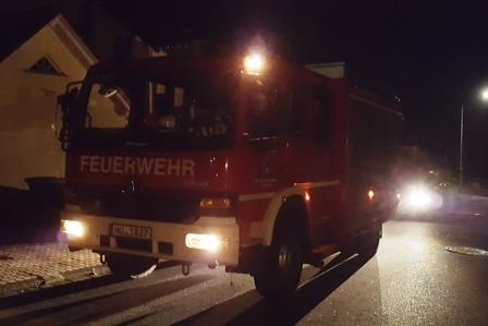 H 1 Wespen 2017 001