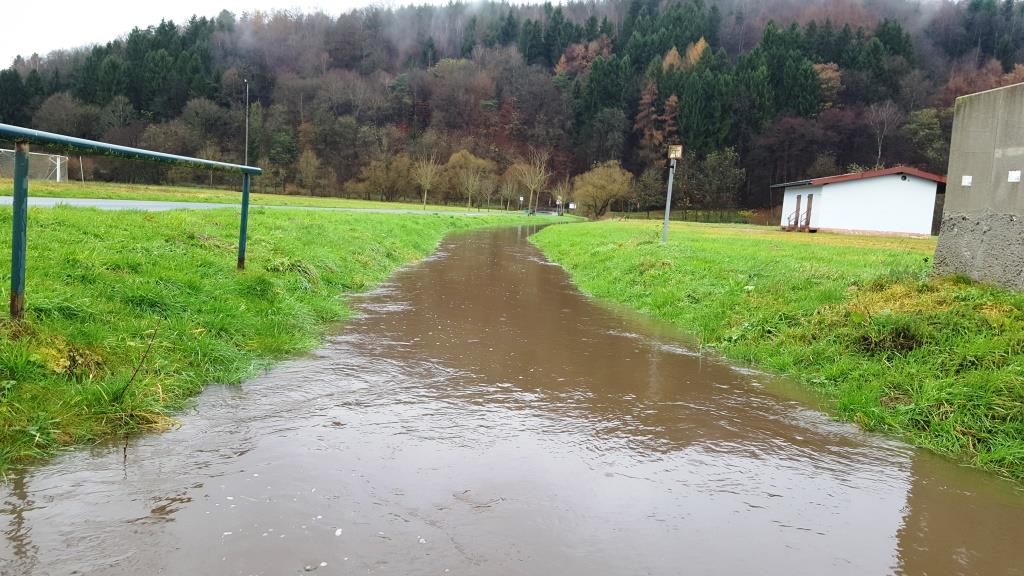 Wasserstand Kinzig 2017 004