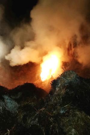 Misthaufen-Brand_2014-004