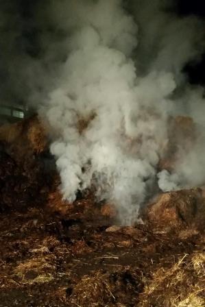 Misthaufen-Brand_2014-005