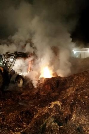 Misthaufen-Brand_2014-006