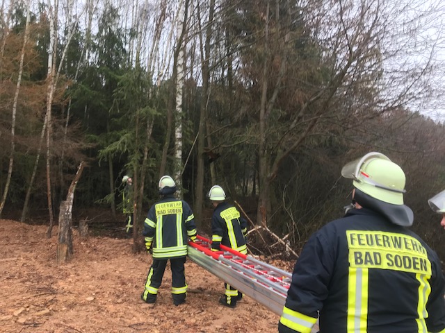 Tierrettung Katze auf Baum 2018 001