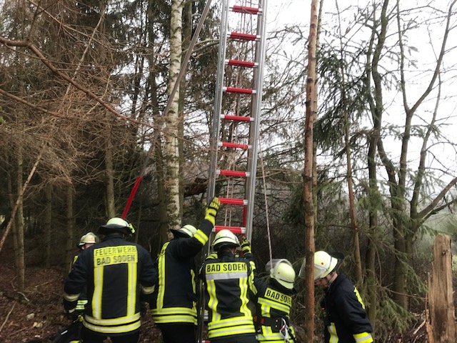 Tierrettung Katze auf Baum 2018 002